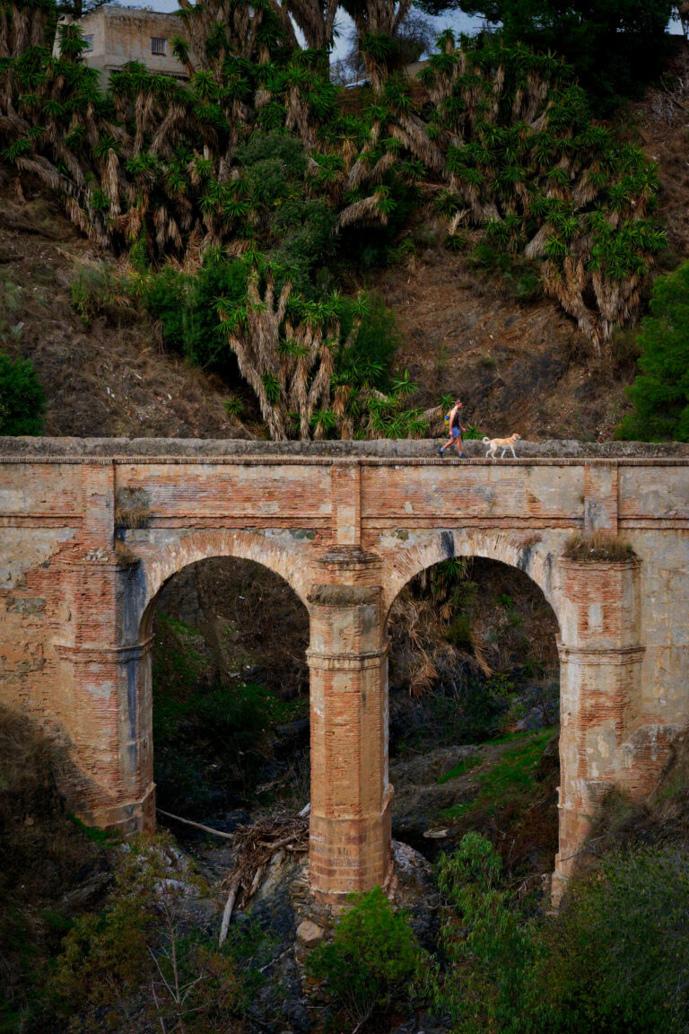 Photo by Trevor Morse