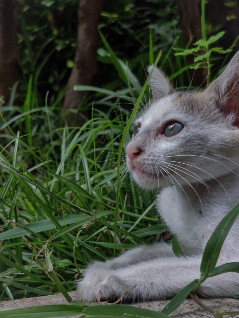 Photo by Arpan Pandit