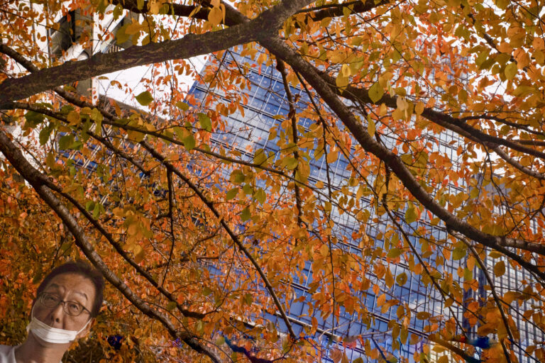 Photo by Alex 艾老师