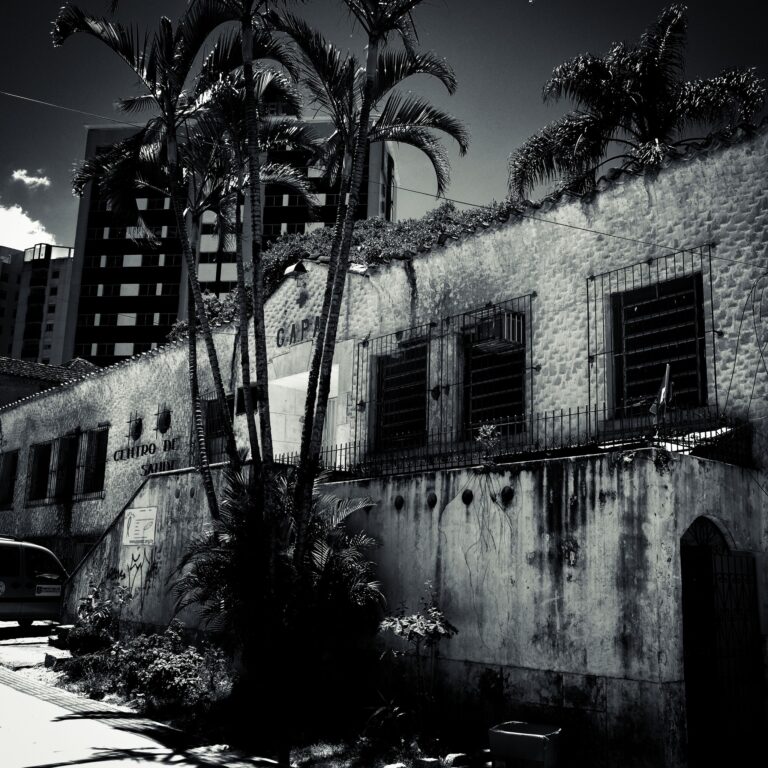 Photo by Steve Painter