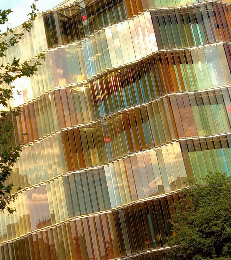 Photo by Steve Painter