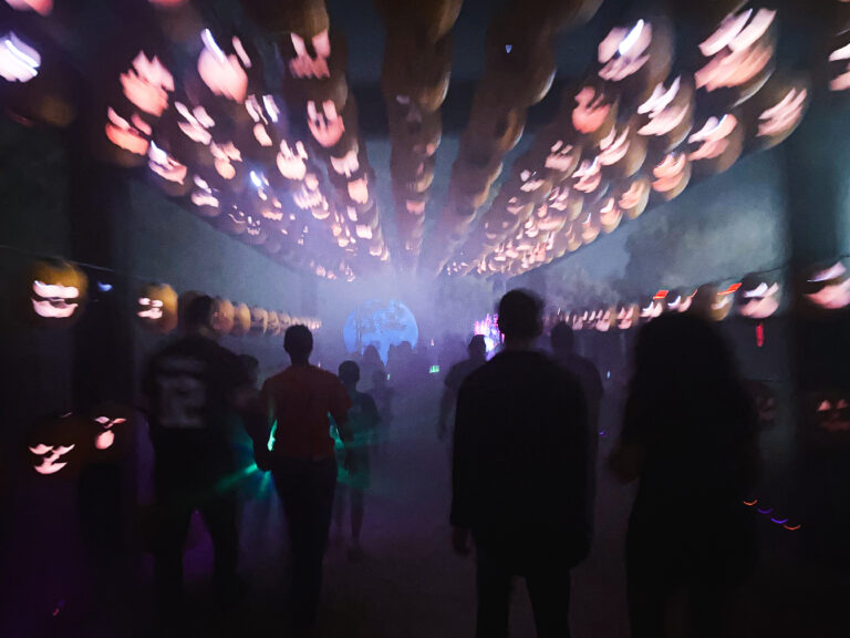 Photo by Ollie Stolp