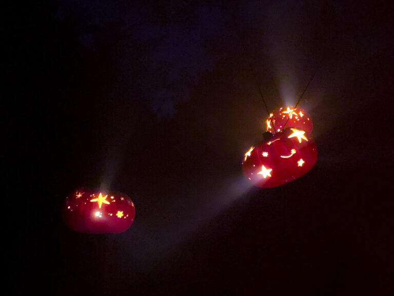 Photo by Ollie Stolp