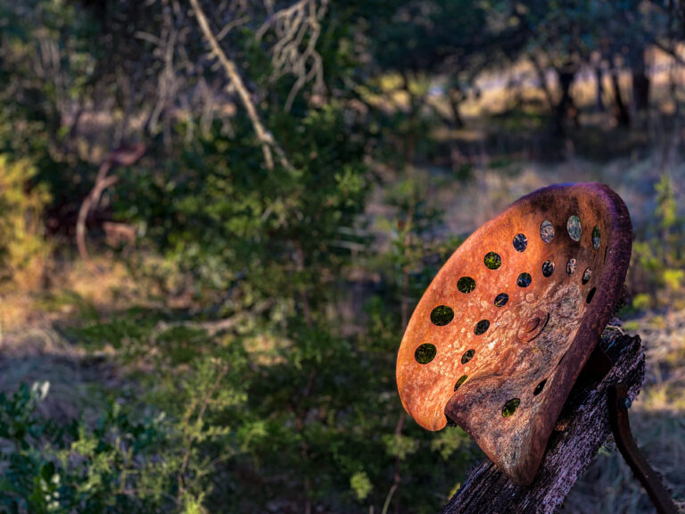 Photo by Ollie Stolp