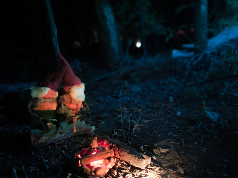 Photo by Ollie Stolp