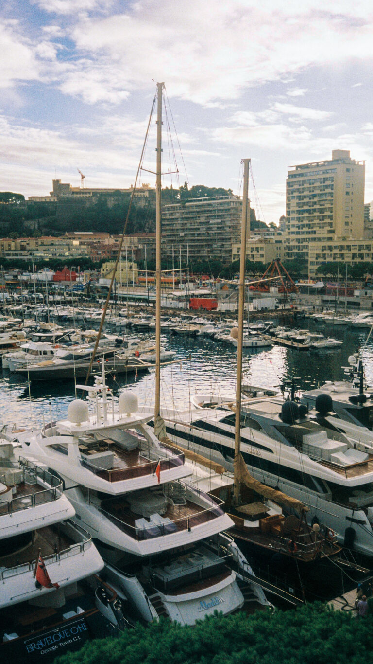 Photo by Steph Kattie