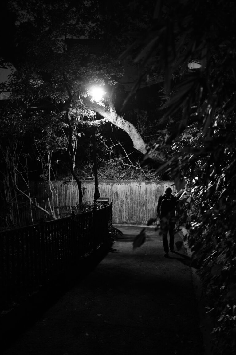 Photo by Debarka Banik