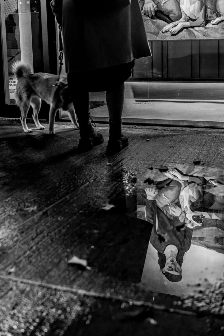 Photo by Liburek Nyvltu