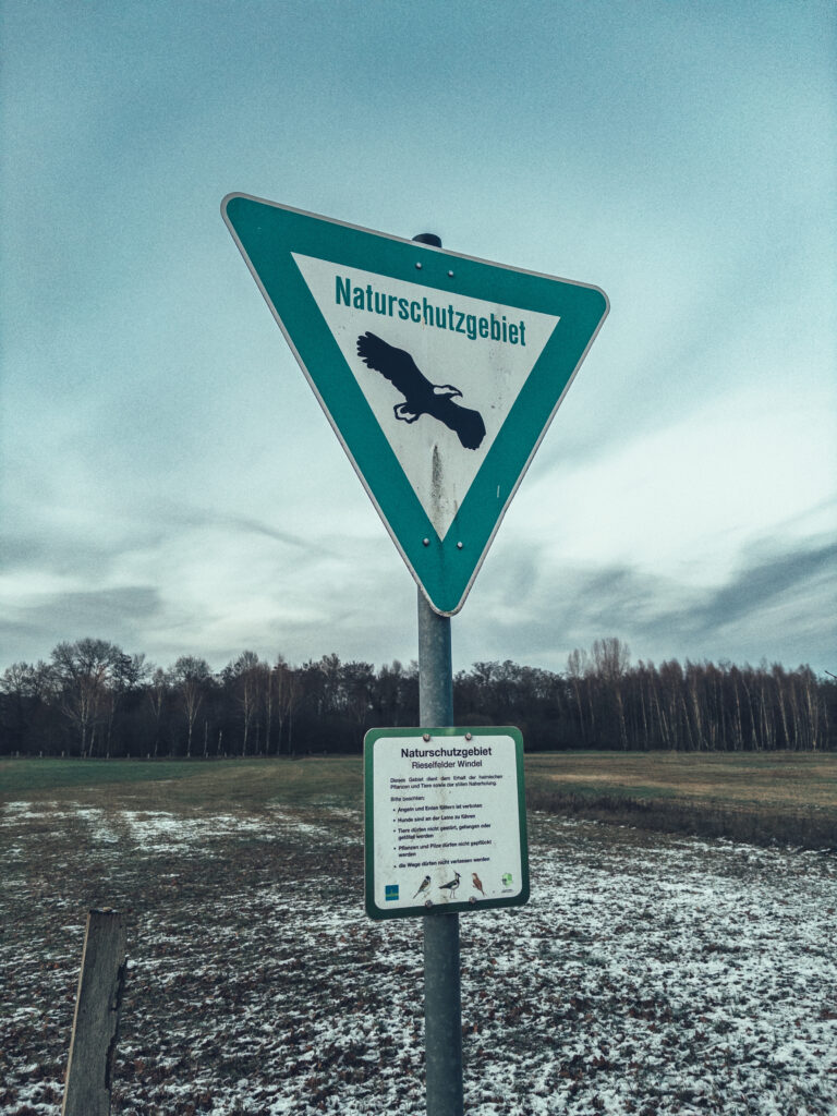 Photo by Rick Inverso