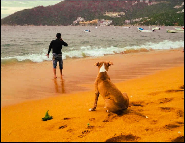 Photo by Brenda Rico