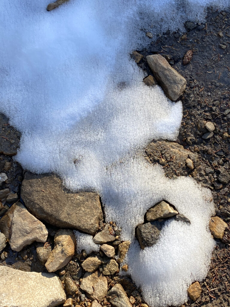 Photo by Ollie Stolp