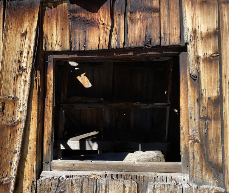 Photo by Ollie Stolp