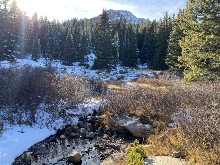 Photo by Ollie Stolp