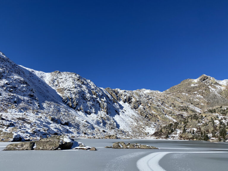 Photo by Ollie Stolp