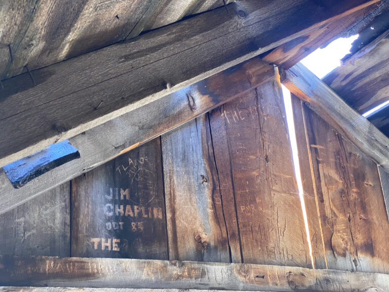 Photo by Ollie Stolp