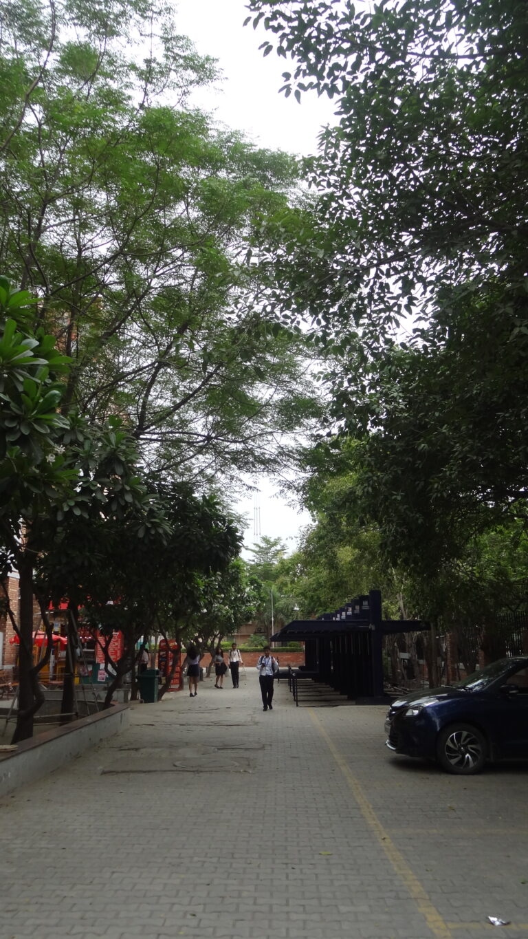 Photo by Pryansh Jindal