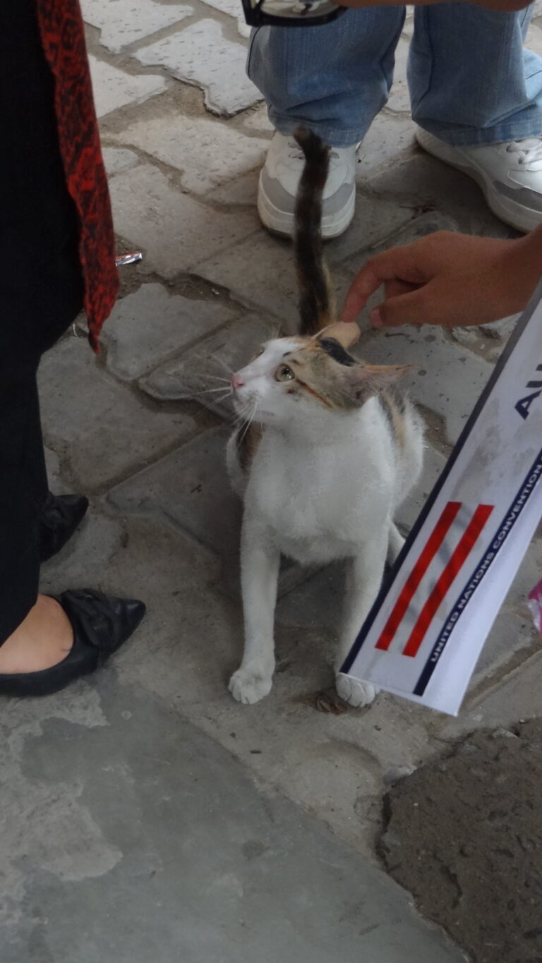 Photo by Pryansh Jindal