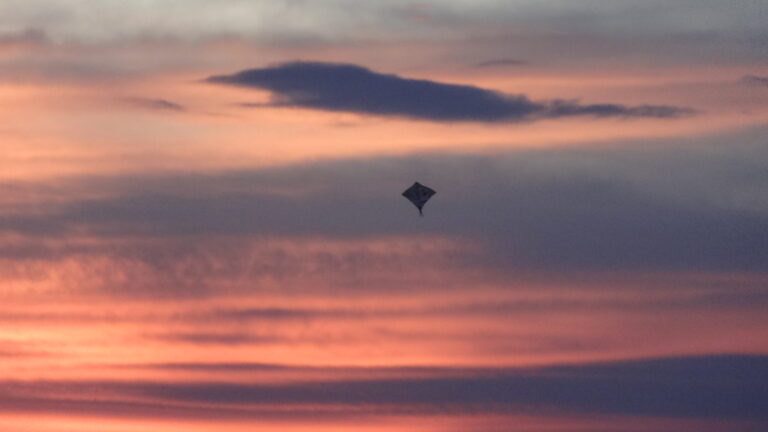 Photo by Pryansh Jindal