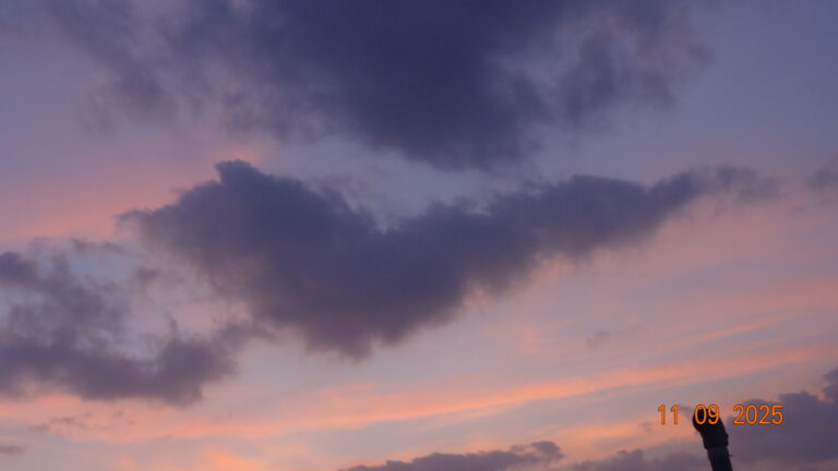 Photo by Pryansh Jindal