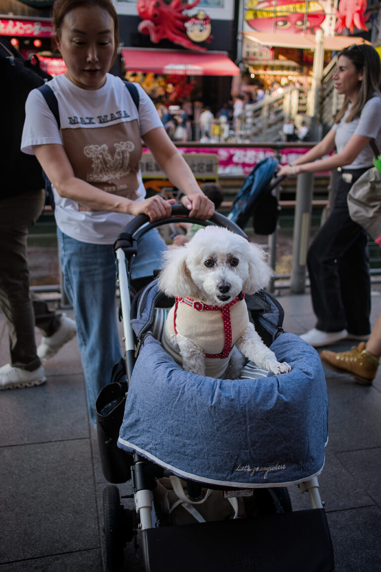 Photo by Black Pixel