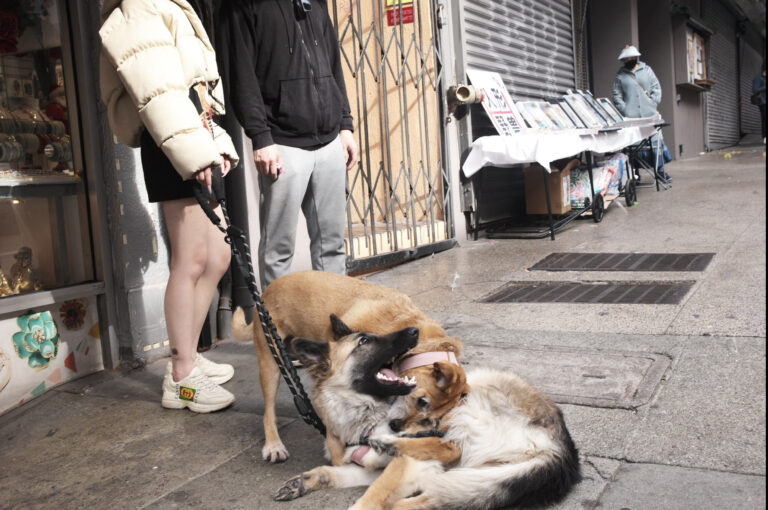 Photo by Kenneth Weaver