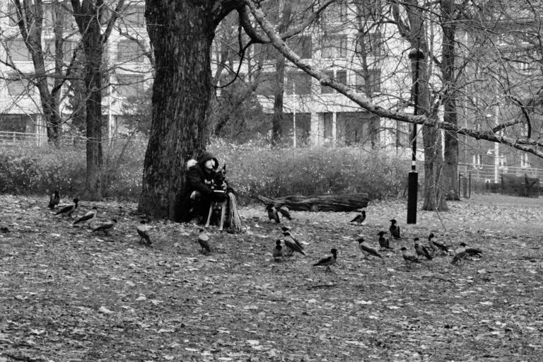 Photo by Tero Palmio