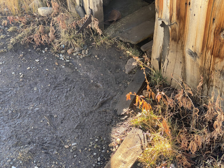 Photo by Ollie Stolp