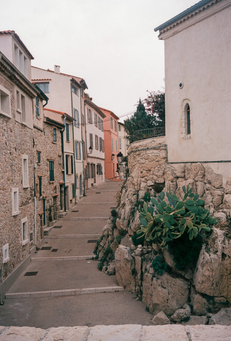 Photo by Steph Kattie