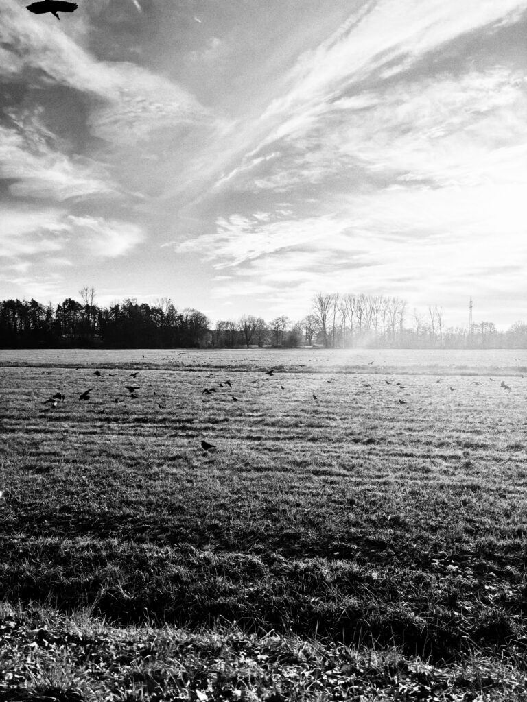 Photo by Rick Inverso