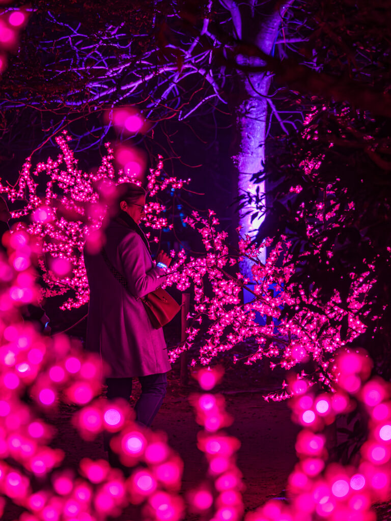 Photo by Jurgen Braem