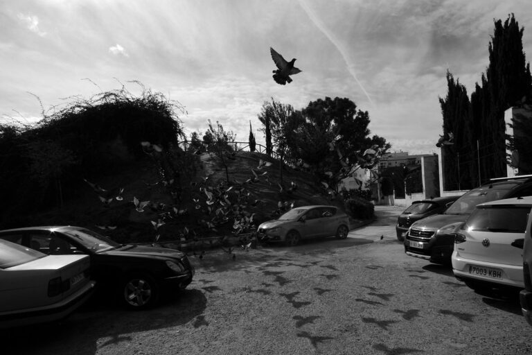 Photo by Pascal Hoerner