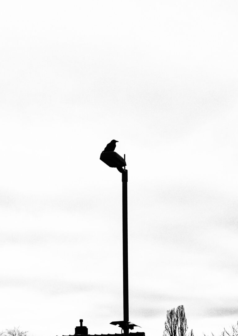 Photo by Rick Inverso