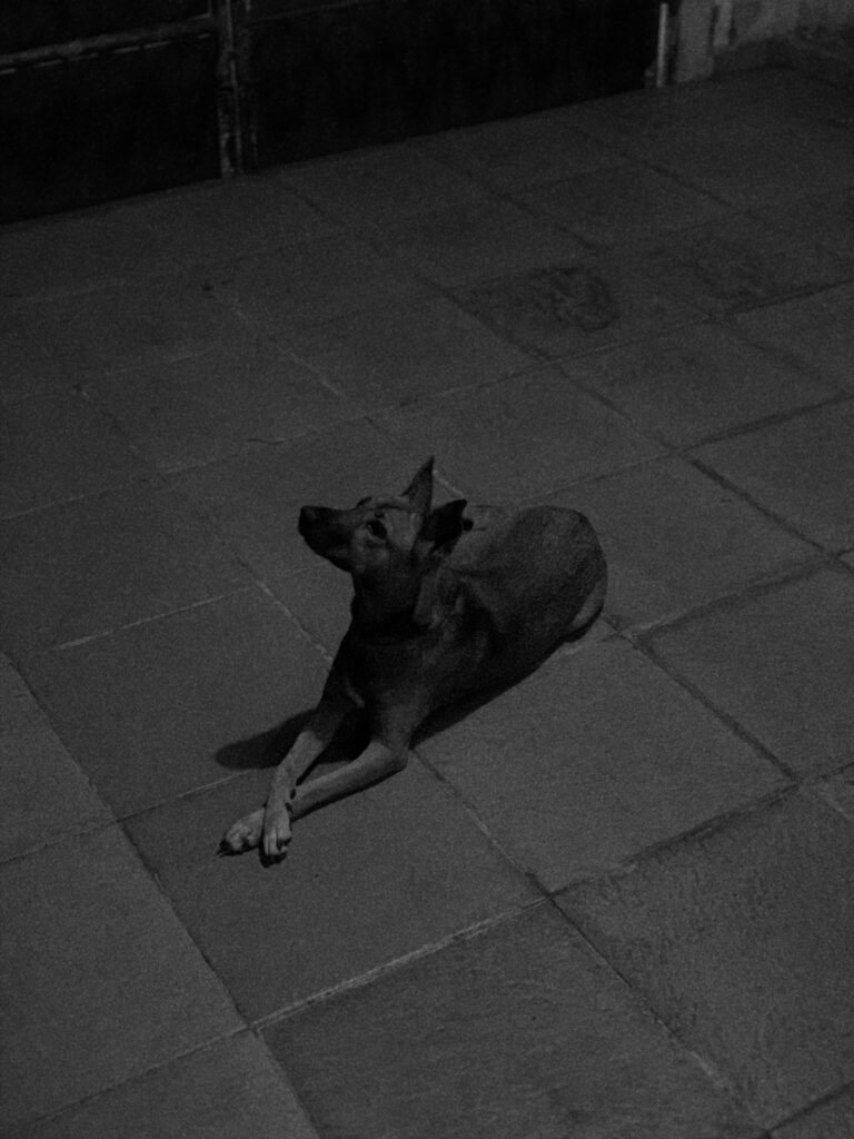 Photo by Rizky Mario