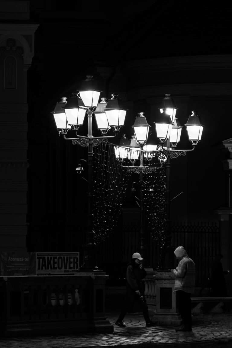 Photo by Cosnete Marian