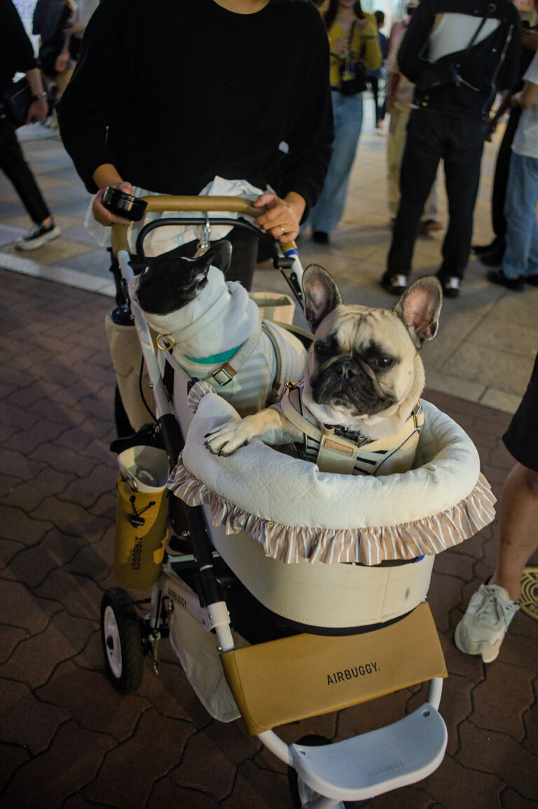 Photo by Black Pixel