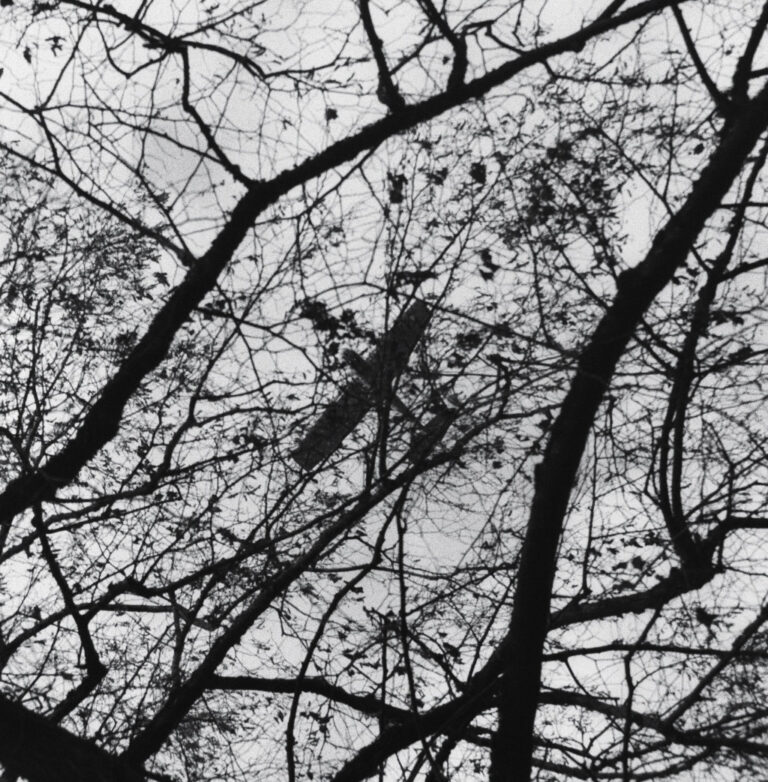 Photo by Rick Inverso