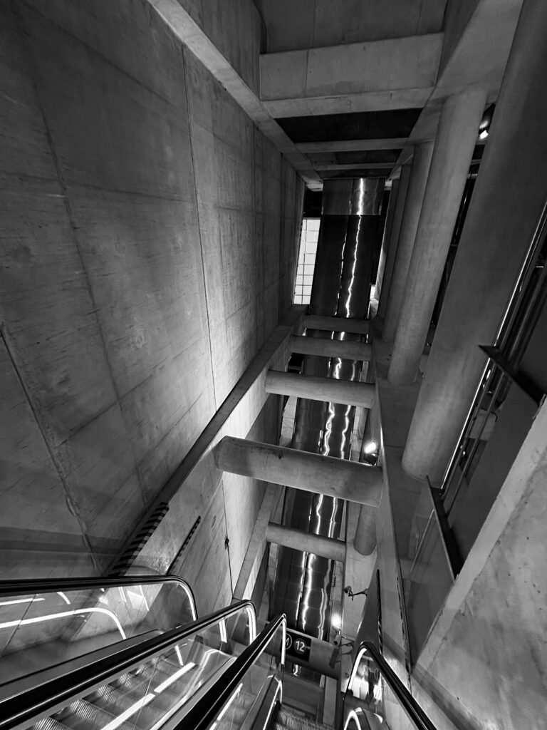 Photo by Franck Toto