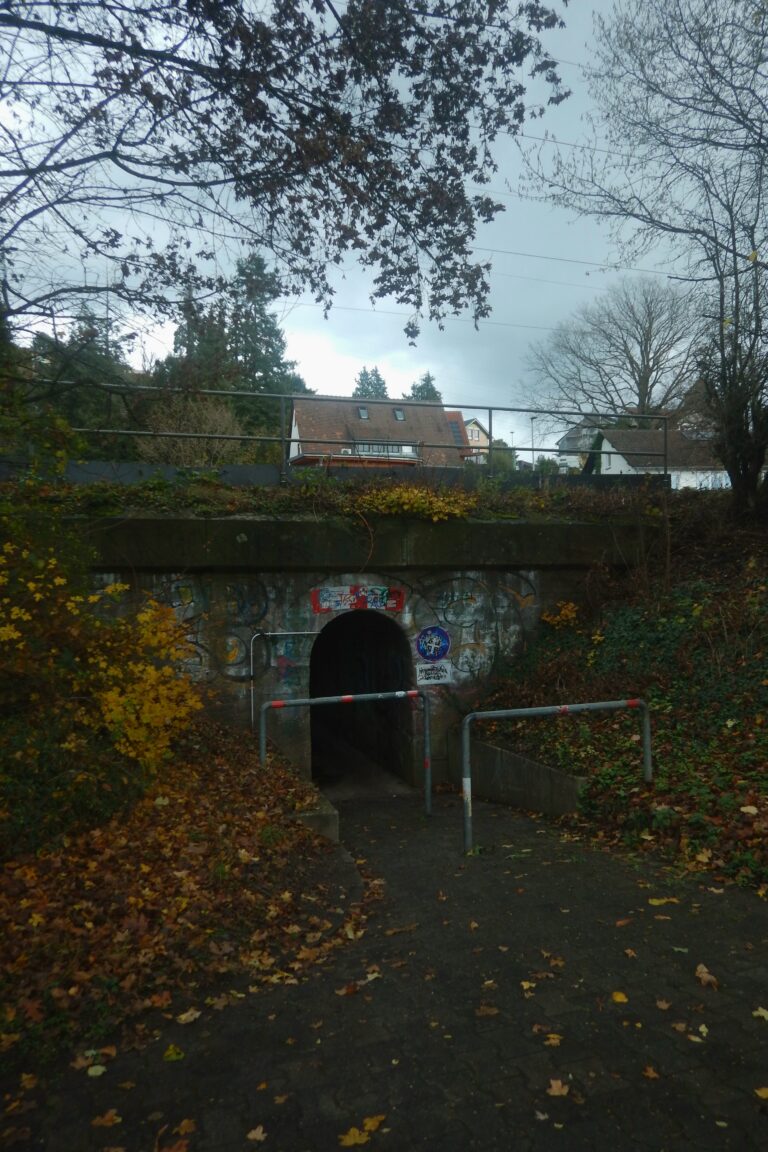 Photo by Diego Binder