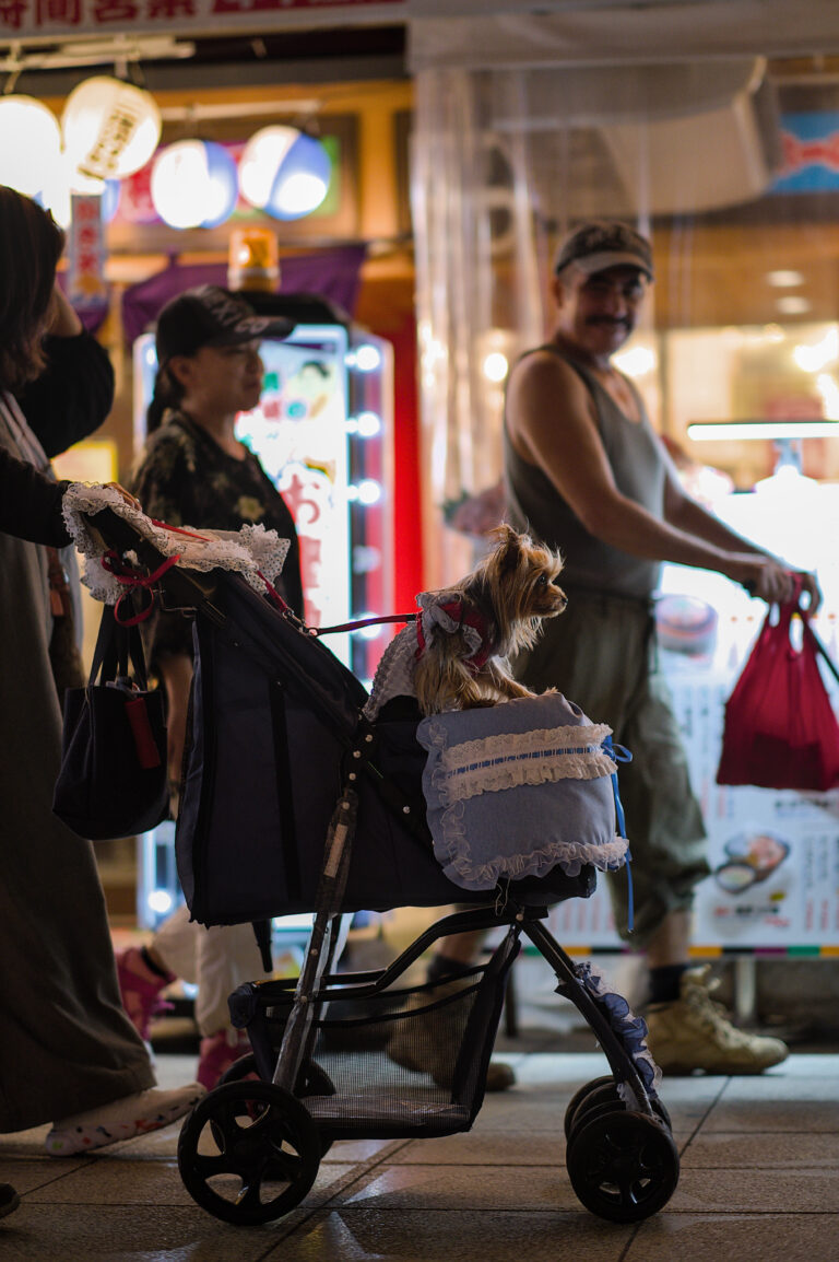 Photo by Black Pixel