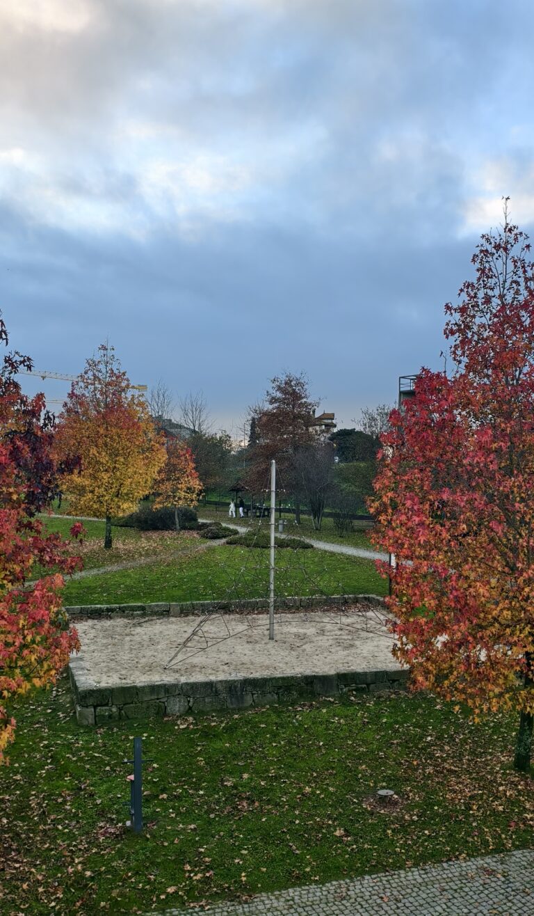 Photo by Julio Alves