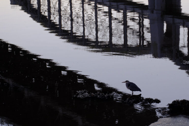 Photo by David George