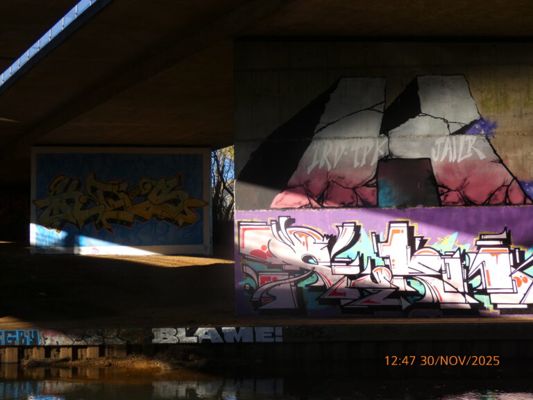 Photo by Yusuf Gungor