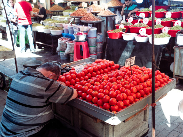 Photo by Amir Abbas Asadi