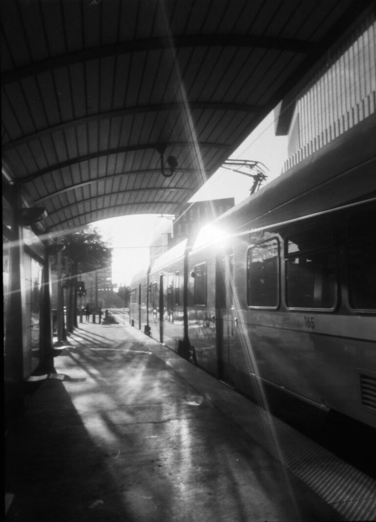 Photo by James Henningson