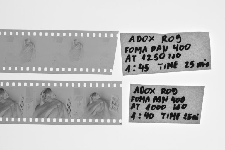 Photo by Drazen Fligic