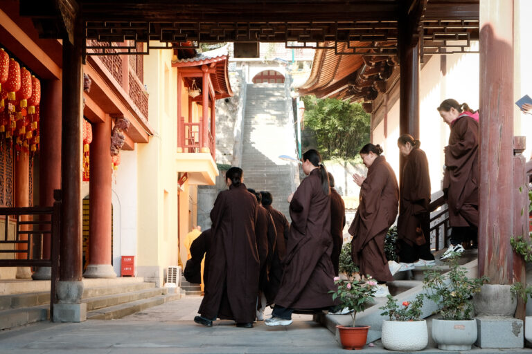 Photo by Dmitry Kostin