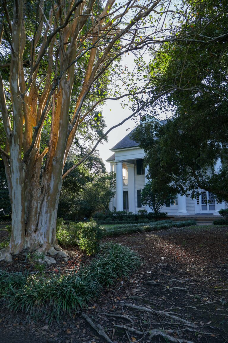 Photo by Sebastrian W..