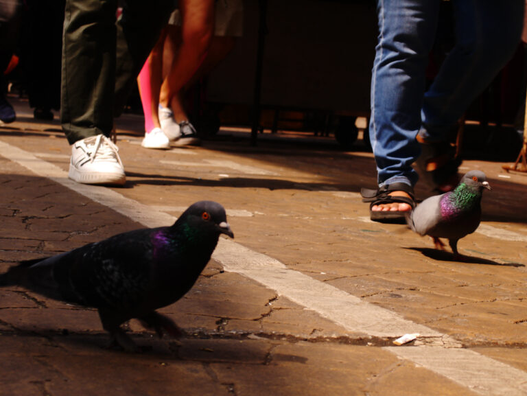 Photo by Johari Sultan