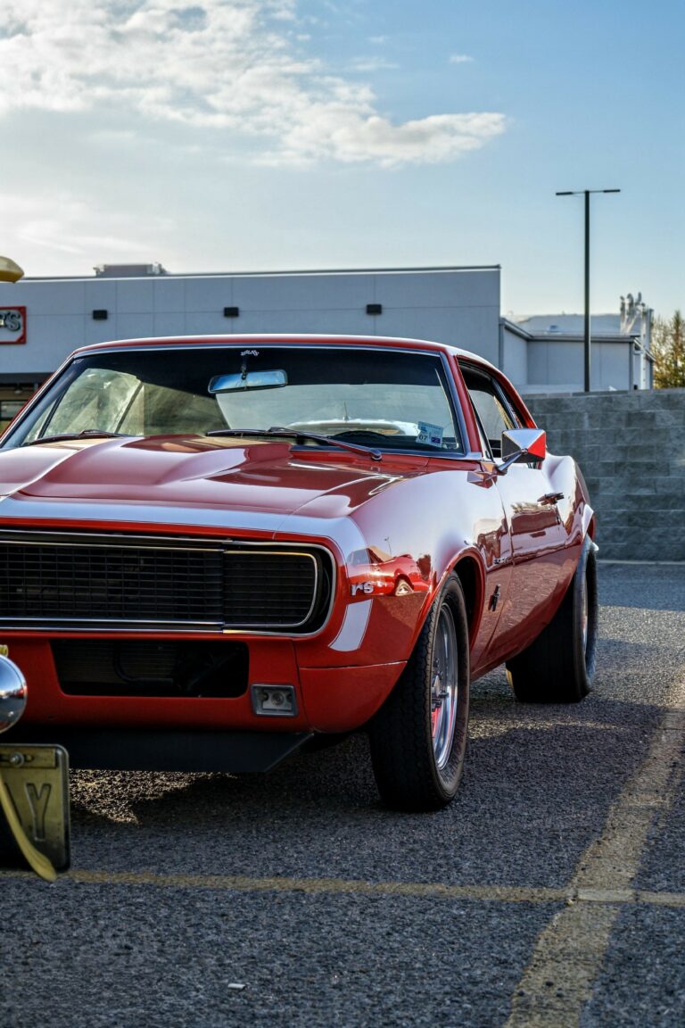 Photo by Sebastrian W..