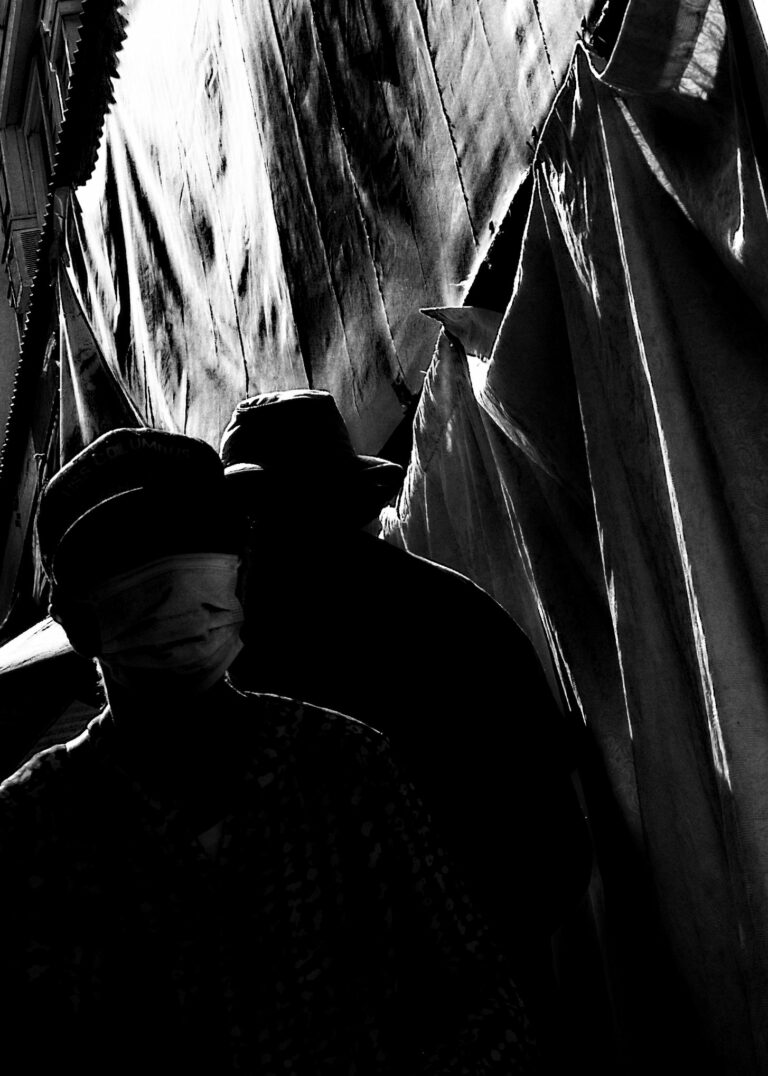 Photo by David Rockwood